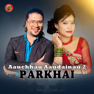 Puskal Sharma & Devi Gharti - Aauchhau Aaudainau 2 Parkhai