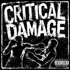 CRITICAL DAMAGE by Skreigh