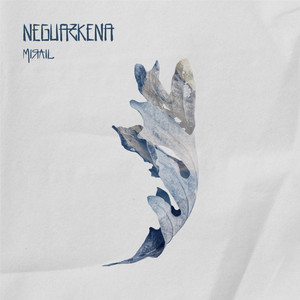 Neguazkena