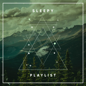 # 1 Album: Sleepy Playlist album