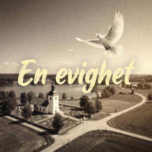 En evighet by Noel Blå
