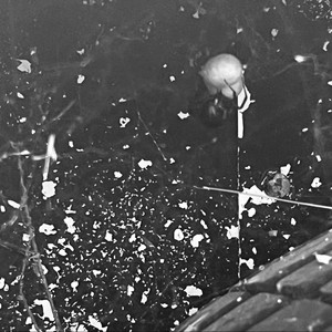 ZayTrinity - Villain