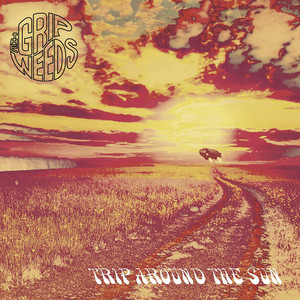 Trip Around the Sun cover