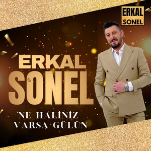 Erkal Sonel - Ne Haliniz Varsa Gülün