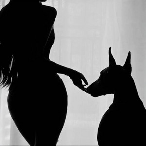 DIABOLICA by Ready Doog