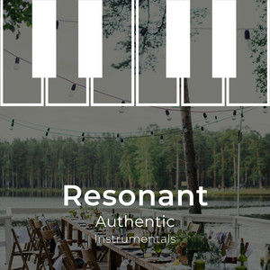 zZz Resonant Authentic Instrumentals zZz album