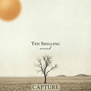 Street Lights Across The Fields by Ten Shilling Wood