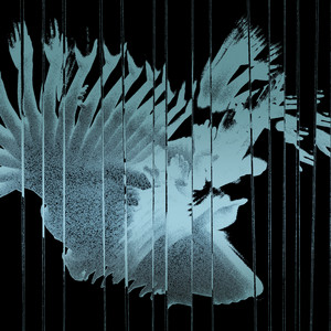 Broken Entry - Yushh Remix by SCALER, Yushh