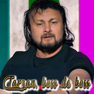Sandu Ciorba - Tarzan, boss de boss
