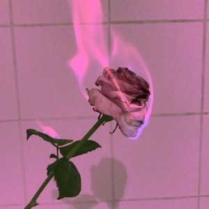 Diamondz n Roses (Instrumental)