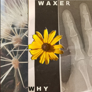 Portada de Why