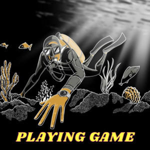 Playing Game