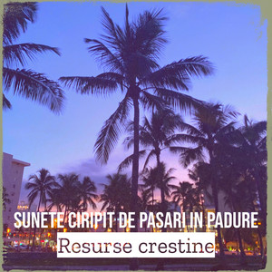 Resurse crestine - Sunete Ciripit De Pasari in Padure