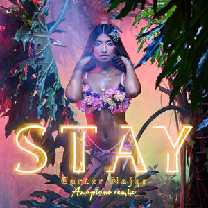 Stay - Ameen Harron Remix