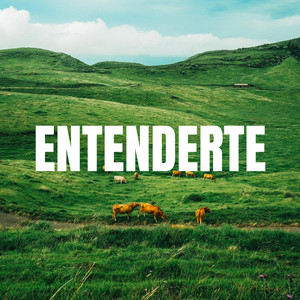 Entenderte by yayoki