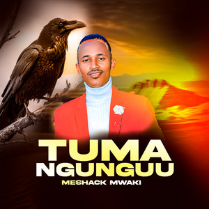 Meshack Mwaki - Tuma Ngunguu