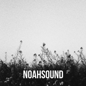 Noahsound - Tranquil Beats