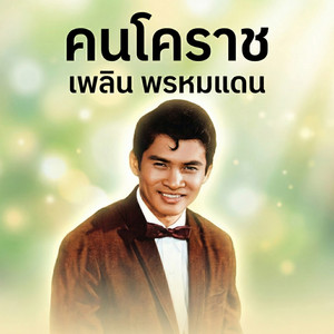 เพลิน พรหมแดน poster