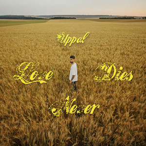 Love Never Dies