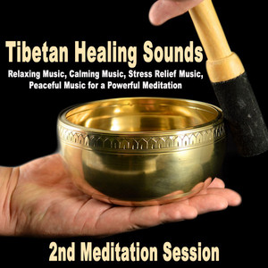Tibetan Healing Sounds artist photo