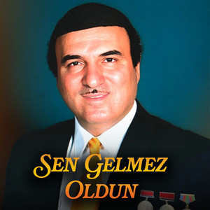 Azərbaycan oğluyam by Memmedbagir Bagirzade