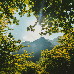 Grateful Alignment by Bliss Looper
