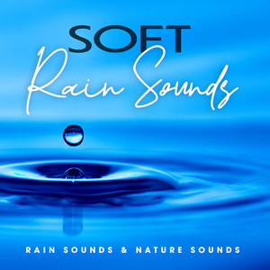 Soft Rain Sounds