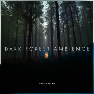 Renowned Important by Forest Ambience