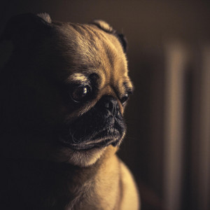 Crazy N8 - Turn the Page