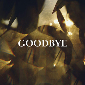 Goodbye by Salmiller