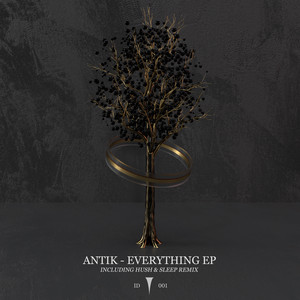 Antik cover