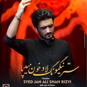 Syed Jan Ali Shah Rizvi - STRINGMONG LA DAKHON MET PA  Balti Noha