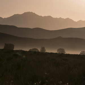 Sepia Morning by Lowfy Lowky