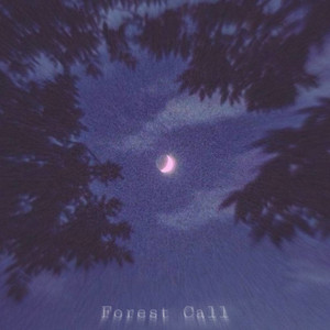 Обкладинка: Forest Call