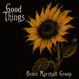 Good Things - Live Radio Edit by Bruce Marshall Group