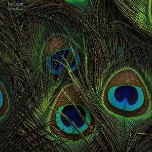 Madhava by Vedic Moon
