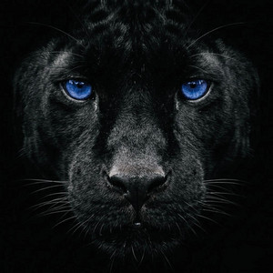 Indigo by DJ Dizzney