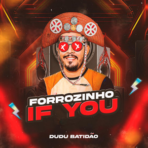 Dudu Batidão - Forrozinho If You