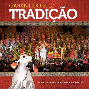 BOI BUMBÁ GARANTIDO - Ameríndia