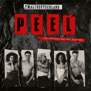 Geheimnis - Peel Session by Xmal Deutschland
