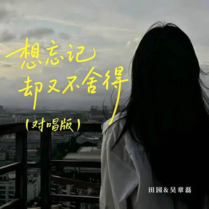 想忘记却又舍不得 - 对唱版 by 田园, 吴章磊