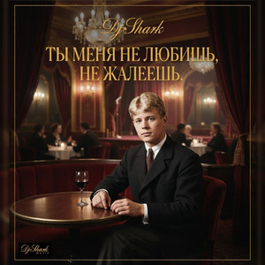 Ты меня не любишь, не жалеешь by DjShark