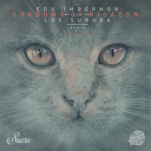 Shadows of Rigadon - Clarian Red Ocean Remix by Edu Imbernon, Los Suruba, Clarian
