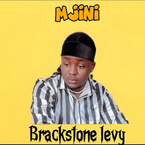 Brackstone levy - Mjini