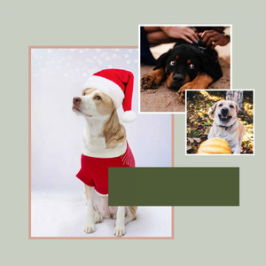 Ambiance for Sweet Pups