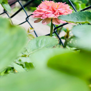 audio vision entertainment - Sau dard relax reverbs