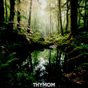 whisper by THYMOM