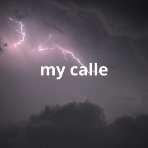 my calle by starlin swagger