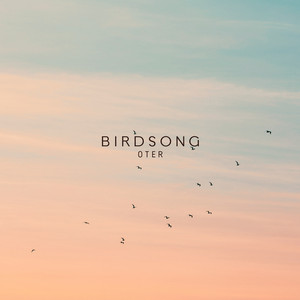 Birdsong by OTER