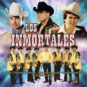 Portada de Desilusión